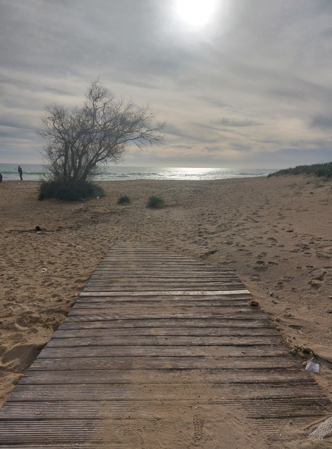 Pescoluse Salento vista frontale della spiaggia dorata