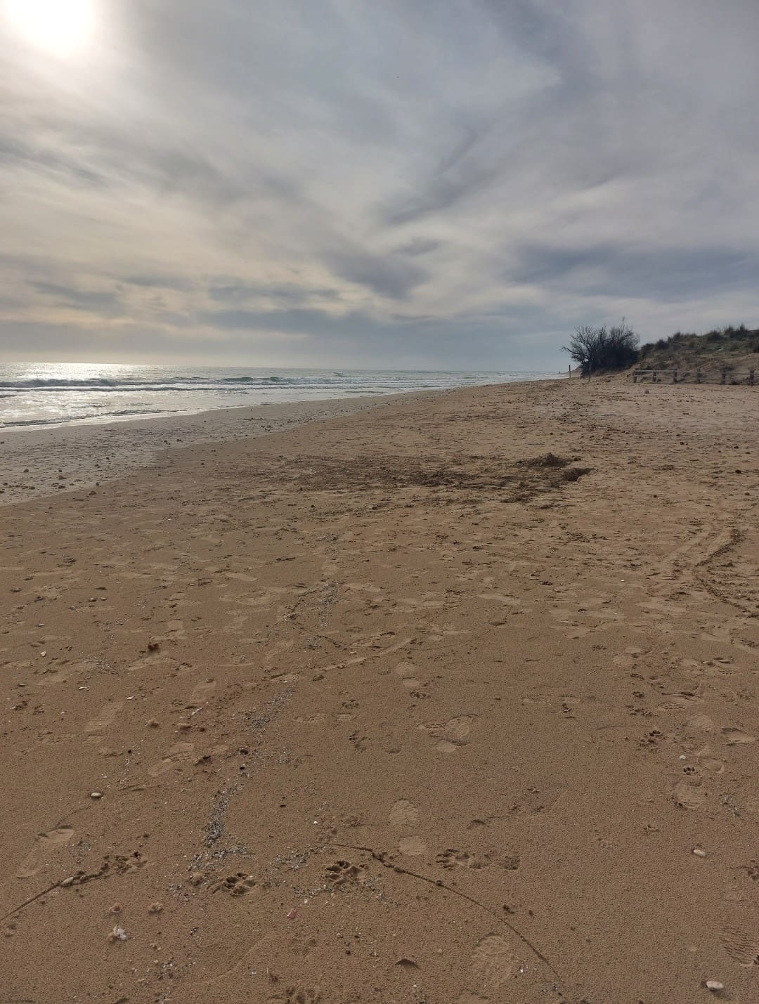 Costa Pescoluse con case vacanze vicino al mare