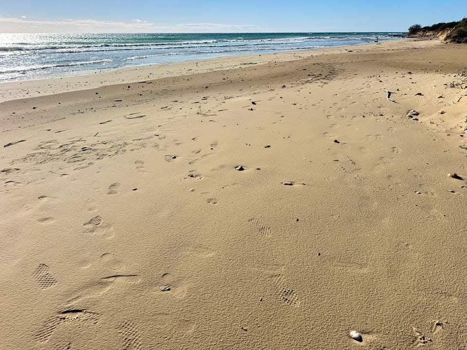 Costa Torre Pali con case vacanze vicino al mare